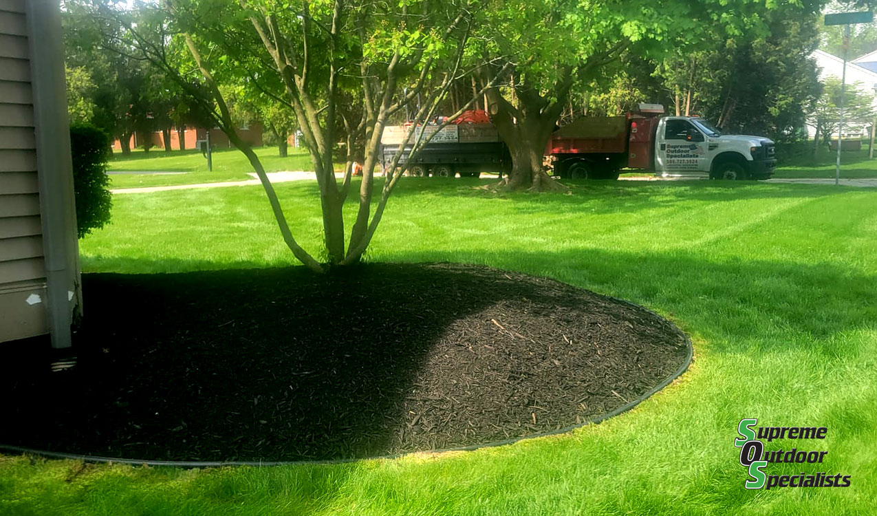 Professional Landscaping Services Macomb County