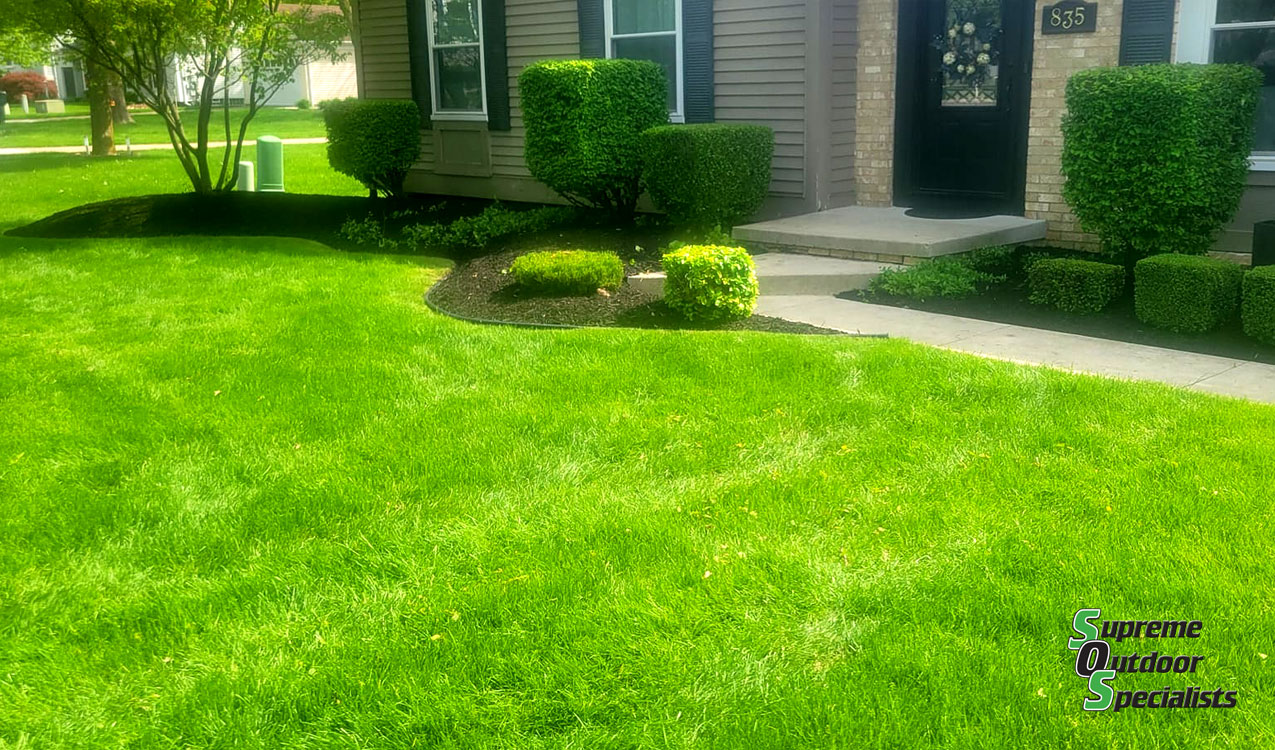 Professional Landscaping Services Macomb County