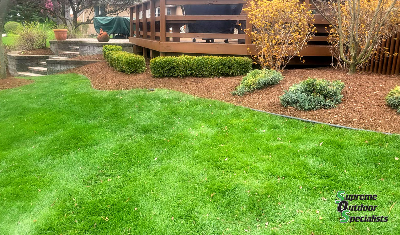 Professional Landscaping Services Macomb County