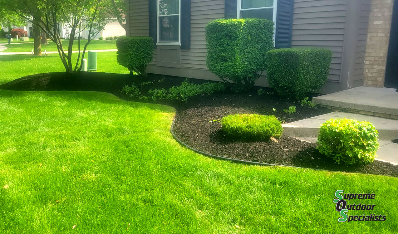 Professional Landscaping Services Macomb County