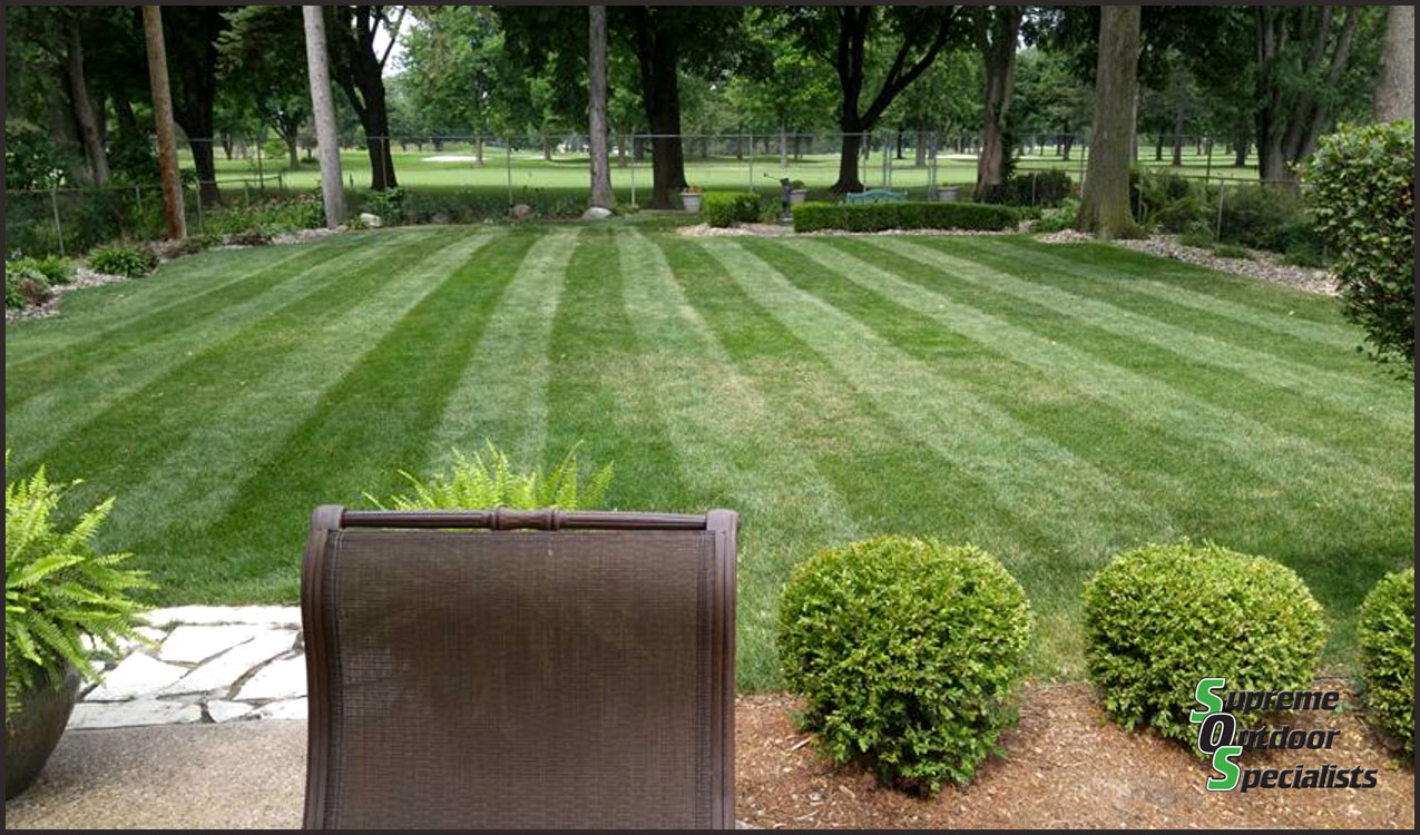 Lawn Care Mowing Michigan