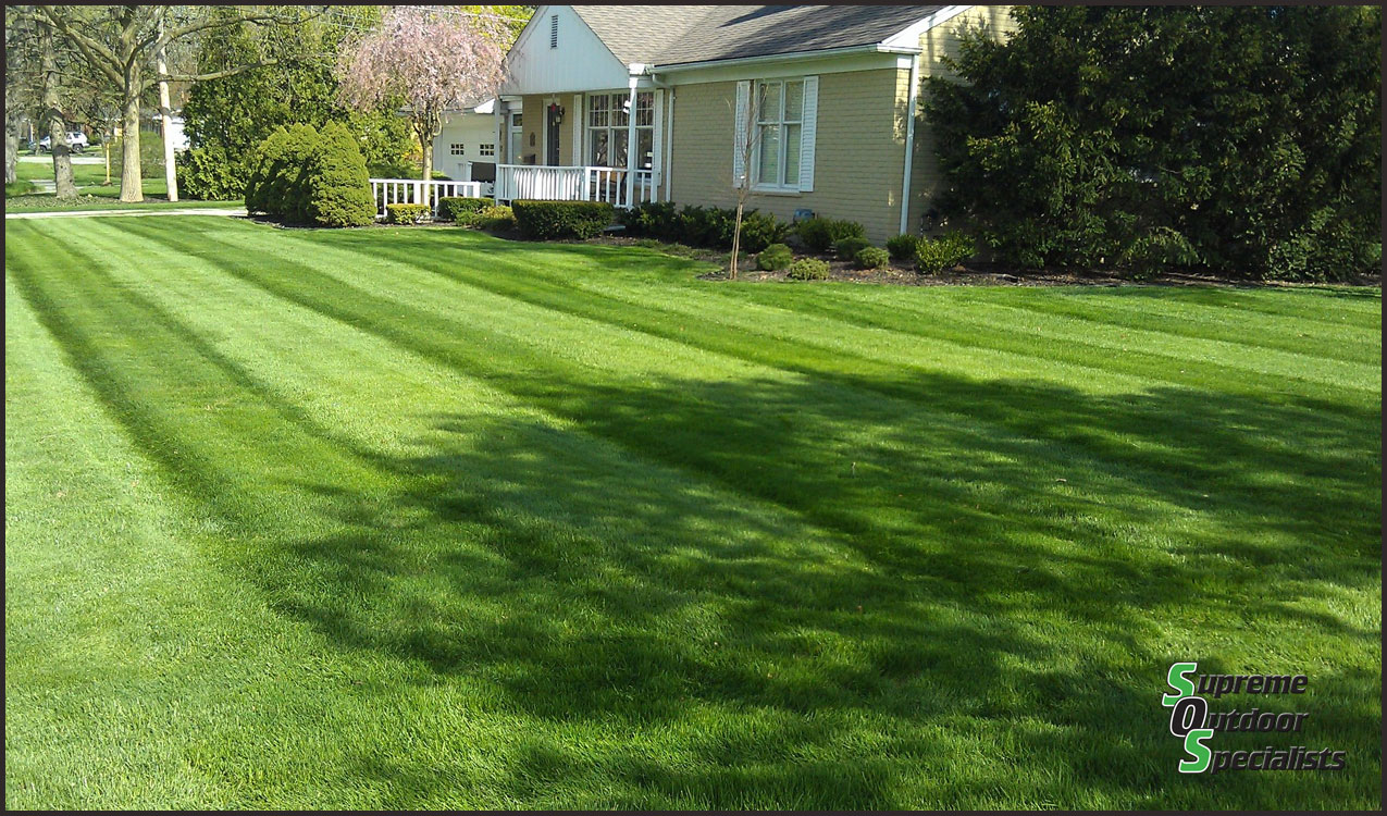 Lawn Care Mowing Michigan