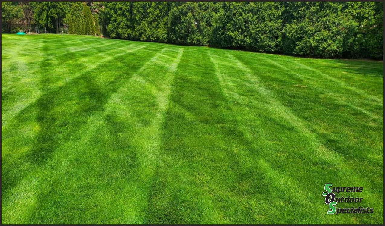 Lawn Care Mowing Michigan