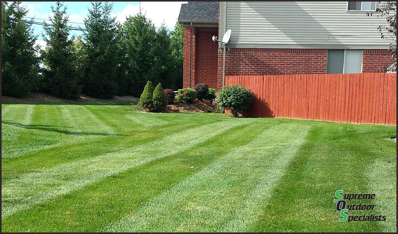 Lawn Care Mowing Michigan