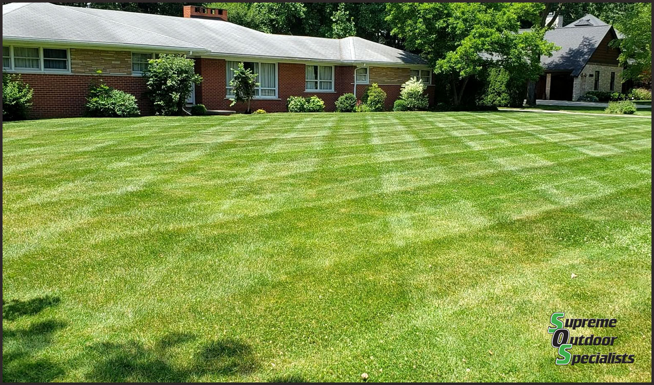 Lawn Care Mowing Michigan