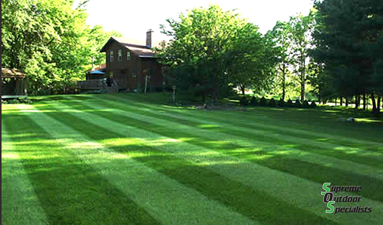 Lawn Care Mowing Michigan