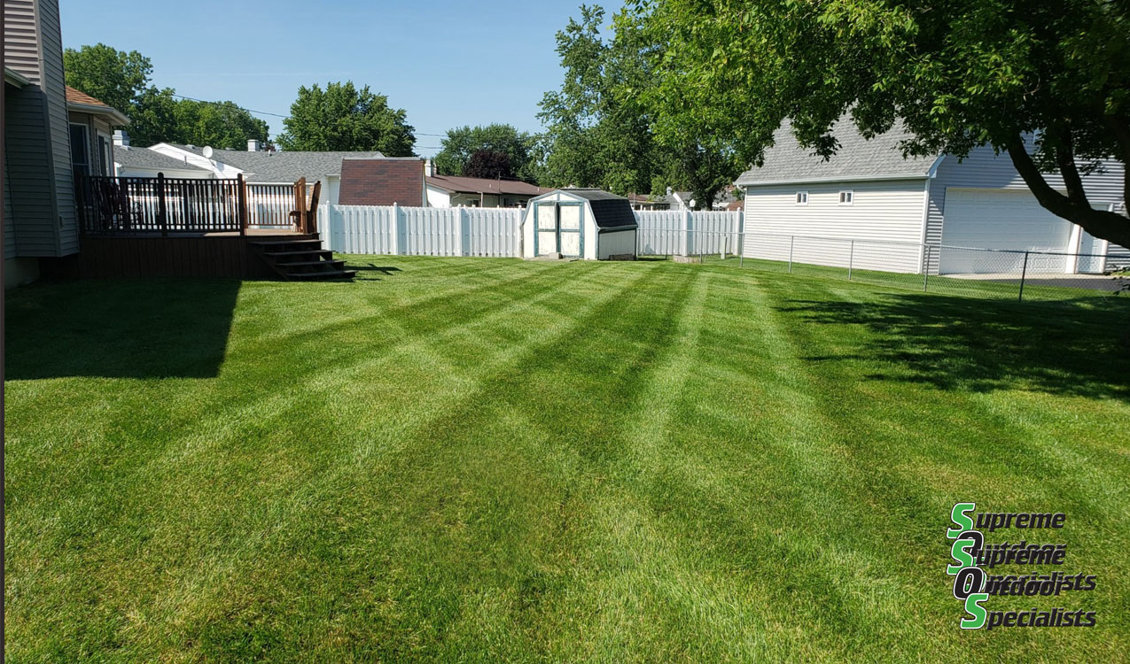 Lawn Care Mowing Michigan