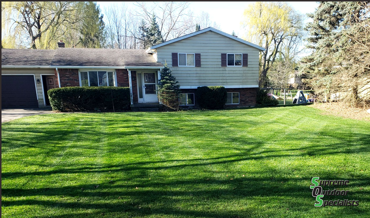 Lawn Care Mowing Michigan